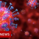 Coronavirus explained in 60 seconds – BBC News