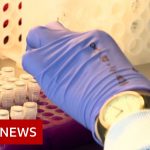 Coronavirus: Second British death and more than 100,000 cases worldwide – BBC News