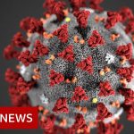 Coronavirus v Influenza: How do the two viruses compare? – BBC News