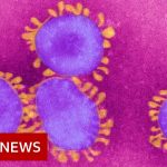 Coronavirus: World in 'uncharted territory' – BBC News