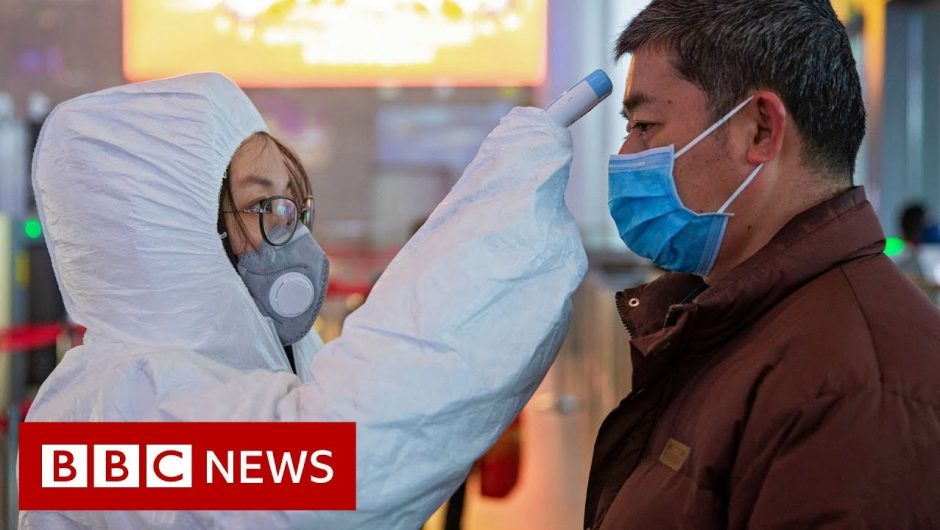 Scientists search for coronavirus vaccine – BBC News