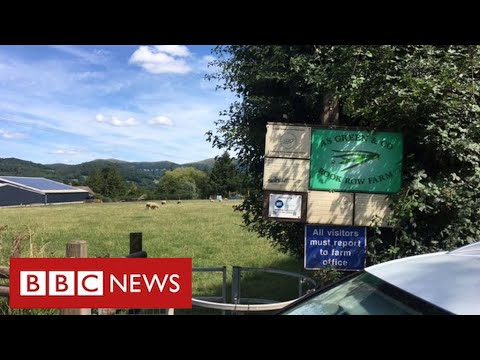More than 70 workers contract coronavirus at farm in Herefordshire – BBC News