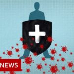 Coronavirus: Immunity explained – BBC News
