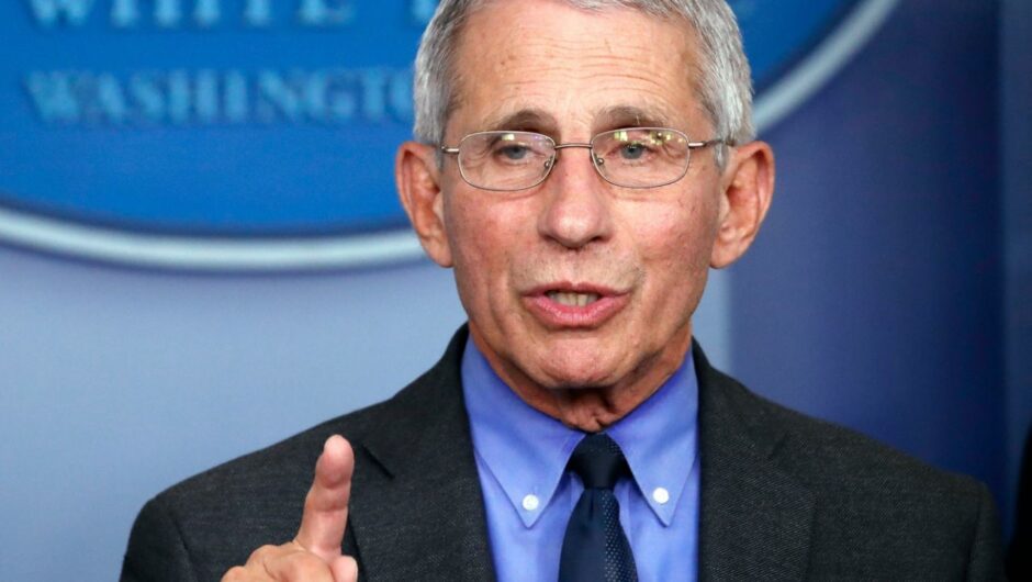 Anthony Fauci said New York is an example of how to ‘correctly’ confront soaring coronavirus cases