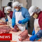 Coronavirus: Why are there outbreaks in meat processing plants? – BBC News