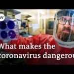 Coronavirus research: When can a vaccine be expected? | DW News
