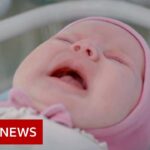 Coronavirus: Surrogate babies stranded in Ukraine – BBC News