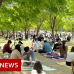 Coronavirus: How South Korea 'crushed' the curve – BBC News