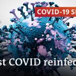 How long does coronavirus immunity last? | COVID-19 Special