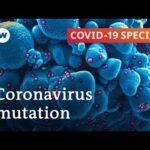 Coronavirus gene mutation: How scared should we be? | Covid-19 Special