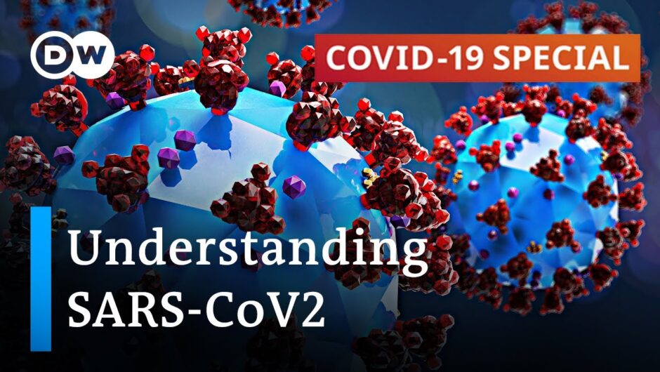 Researching coronavirus: What are the findings? | COVID-19 Special
