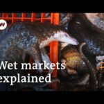 Will the coronavirus pandemic force China to close wildlife markets? | DW News