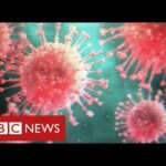 UK new coronavirus variant “out of control” as countries announce travel bans – BBC News