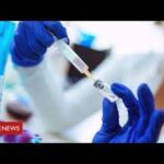 Could “challenge trials” speed coronavirus vaccine development? – BBC News