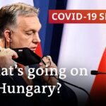Hungary reopens amid spike in COVID deaths | COVID-19 Special