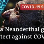 Ancient genetics are facing the coronavirus | COVID-19 Special