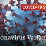 How to stop the spread of new coronavirus variants? | COVID-19 Special