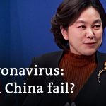 Independent panel says China could've avoided the coronavirus pandemic | DW News