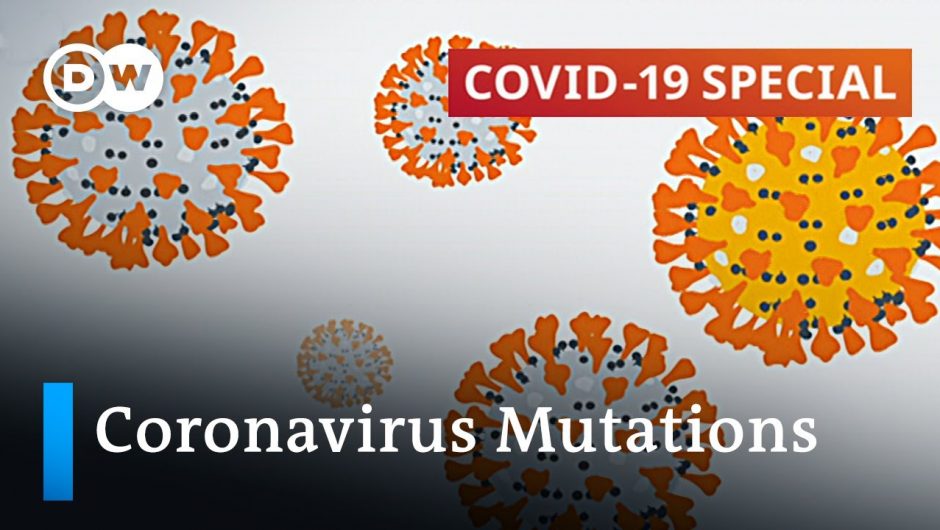 What do the current mutations mean for the coronavirus pandemic? | COVID-19 Special