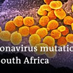 Mutated coronavirus strain drives infections in South Africa | COVID Update