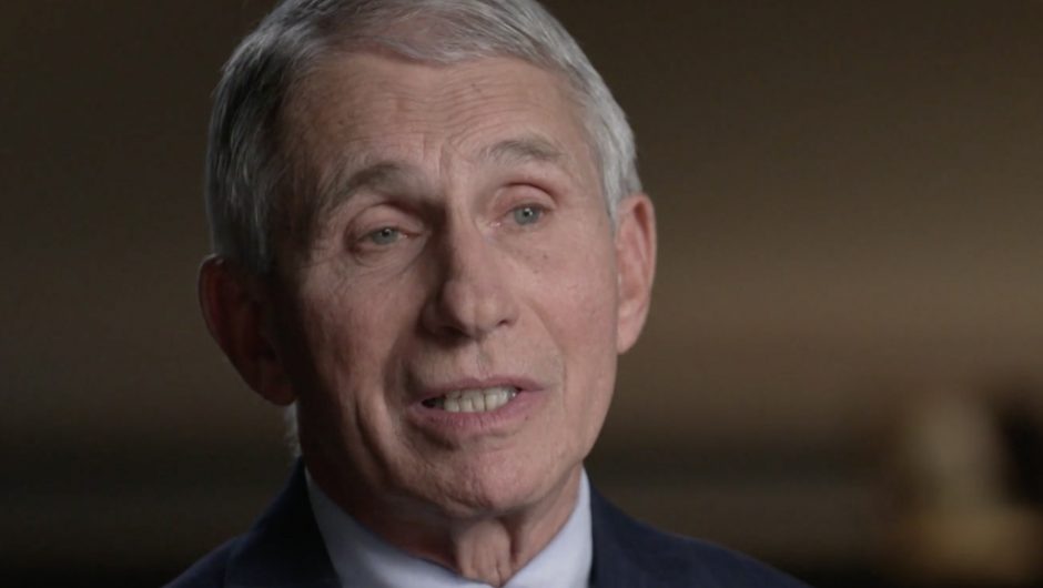 Fauci supports commission to study US response to COVID-19
