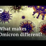 Omicron: What we know so far about the new COVID-19 variant | DW News