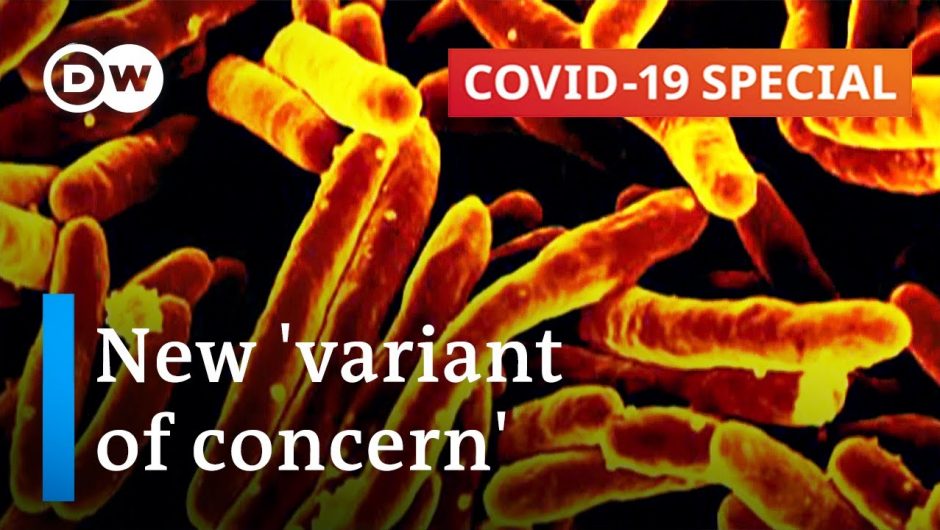 How dangerous is the Indian variant of the coronavirus? | COVID-19 Special
