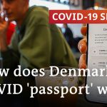 Is Denmark's coronavirus 'passport' a prototype for European travel? | COVID-19 Special