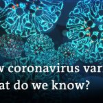 Growing global concern over coronavirus variants | DW News