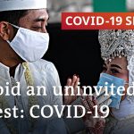 Can we bypass the coronavirus for social gatherings? | COVID-19 Special