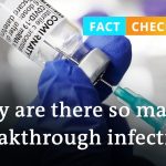 Fact check: Why are there so many COVID vaccination breakthroughs?  | DW News