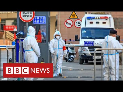 China orders entire city into home lockdown after 3 Covid cases discovered – BBC News