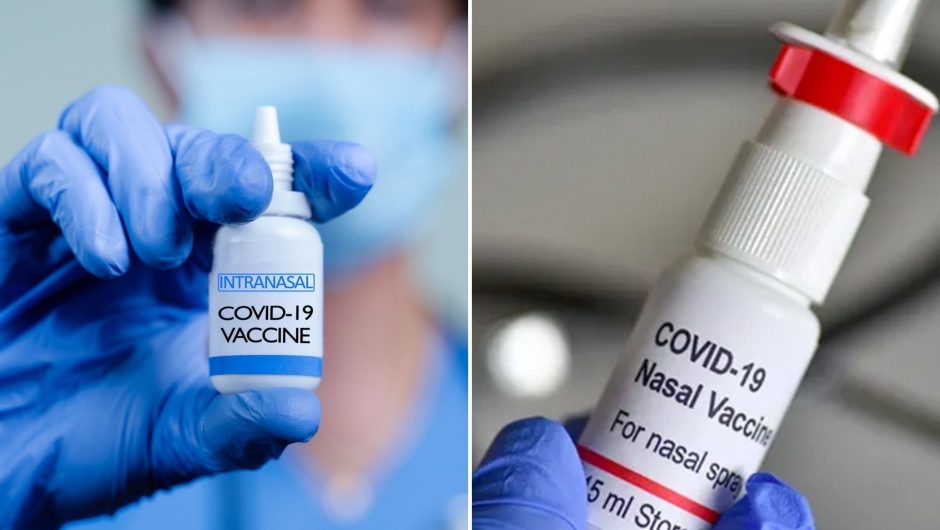 COVID-19 nasal spray shows strong immune response in study