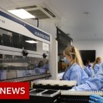 Life-saving Covid treatment found – BBC News